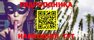 таблы Кингисепп