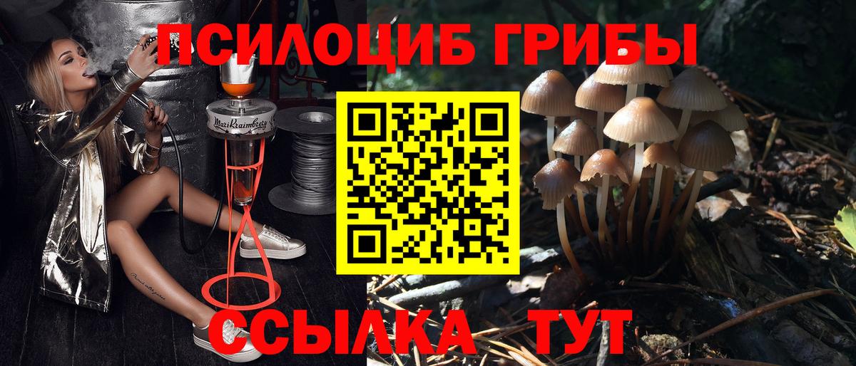 Бутурлиновка  Псилоцибиновые грибы MAGIC MUSHROOMS  Вход с VPN 